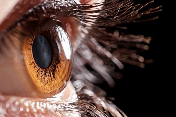 Close up of brown eye.