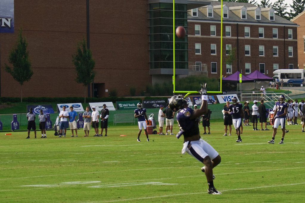 Football receiver hauling in a pass.