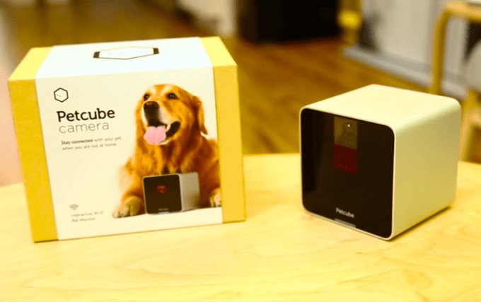 petcube
