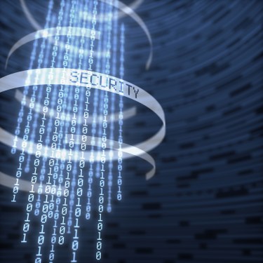digital binary data protected by the security system