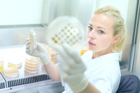 Woman scientist observes cell culture.