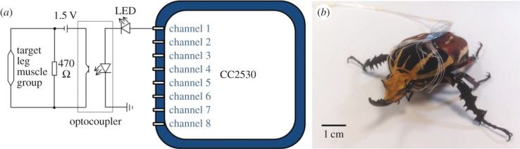 F3.large