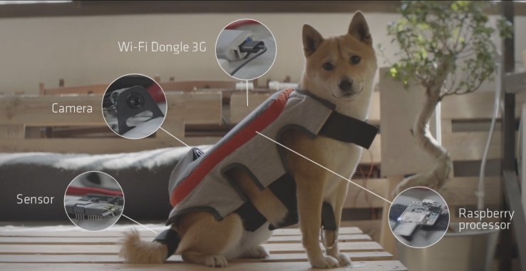 dogpack