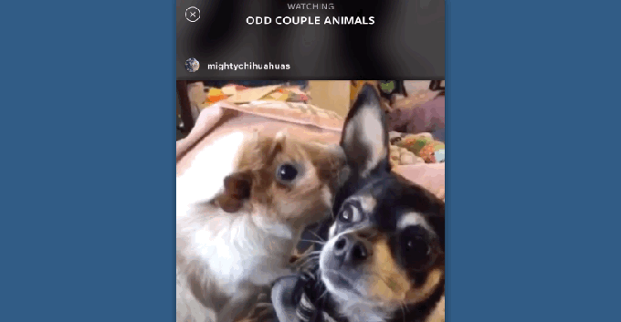 instagram-spotlight-compilations