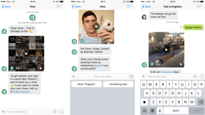 vine bot