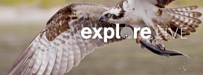Explore Live