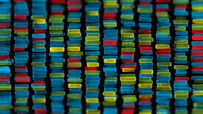 genome
