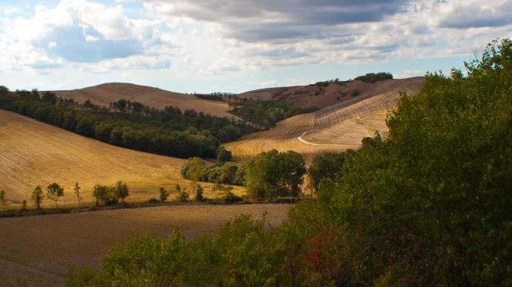 With a quality score of 98%, this photo I took in Tuscany five years ago was the best photo I had on my phone. Which isn't a bad shout; personally, I prefer the edited version which has a bit more contrast and saturation and is cropped slightly, but that version received a 92% score. 