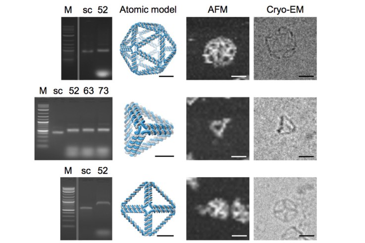 MIT-DNA-Origami-2