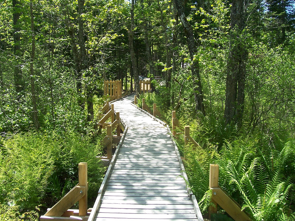 Trailhead