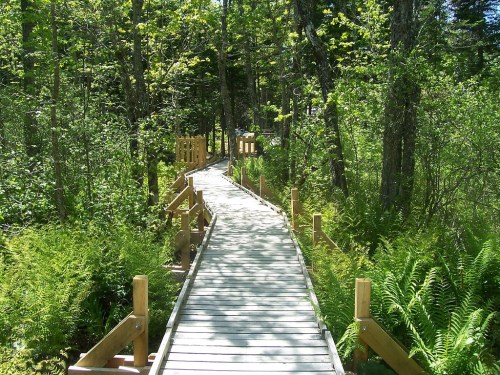 Trailhead
