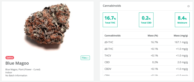 Confident cannabis Magoo