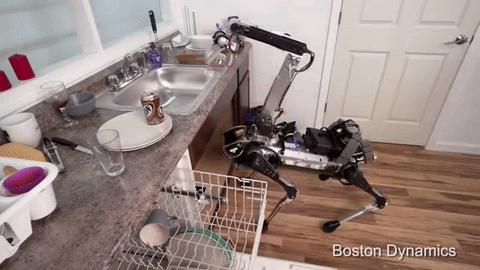 Boston Dynamics