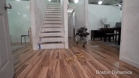 giphy-3