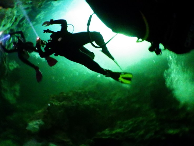 Plenty of drama and mood in this shot, but for $299 you can pick up a second-hand point-and-shoot with an underwater casing that would have done a far better job. 