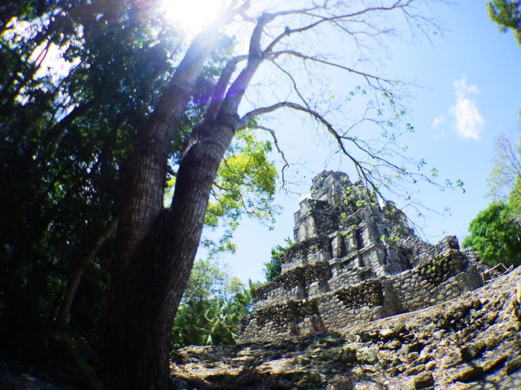 Of course, you can use the wide angle to your advantage, and get all artistic... But even then, it's not great. 