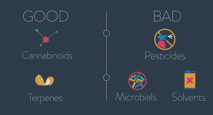 Marijuana Ingredients