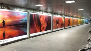 This year's campaign was called 'colors'. Each of the photos is almost monochromatic. 