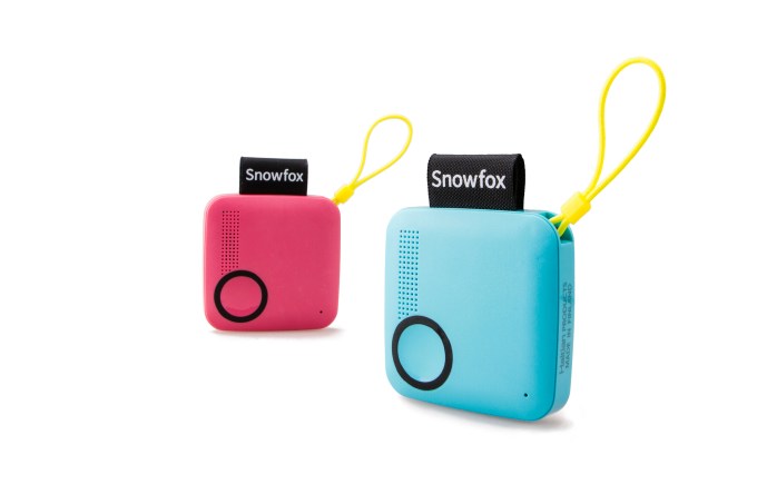 Snowfox pink_Blue