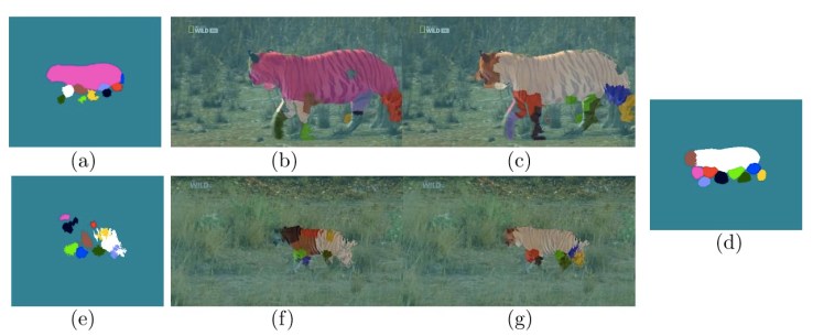 tiger_parts