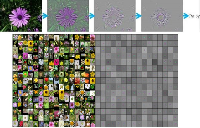 flower_rec_process
