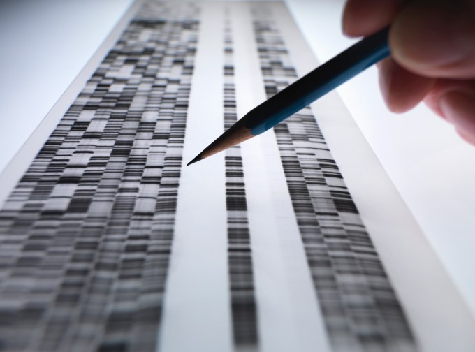 Scientist viewing DNA gel used in genetics, forensic, pharma research, biotechnology and biomedical science