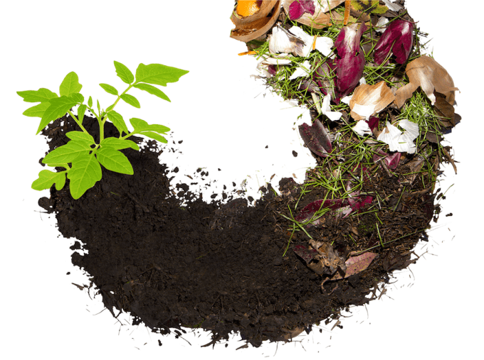 Compost Circle Of Life