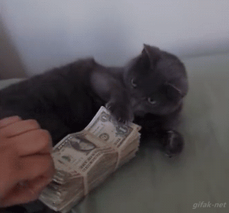 Money Gif