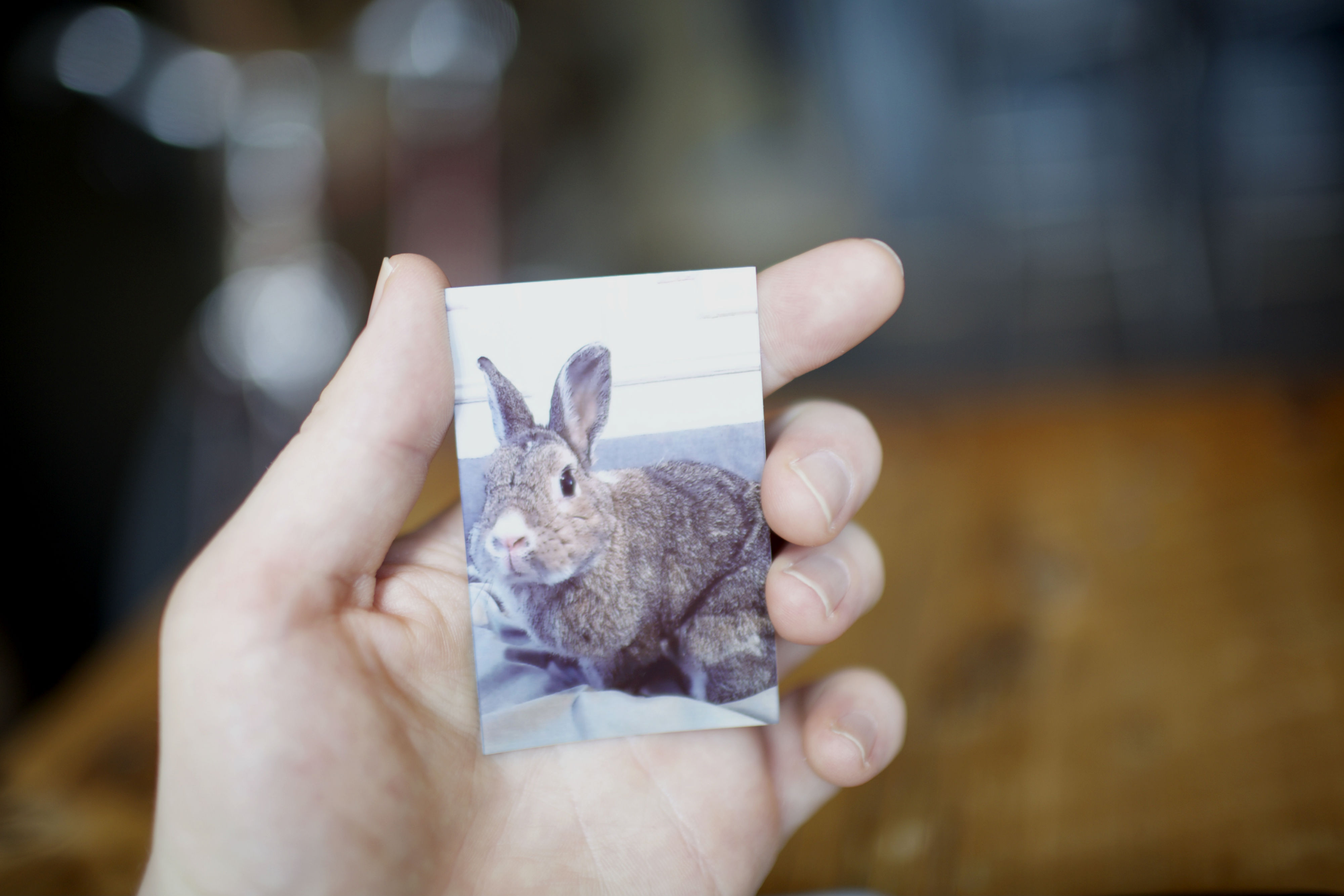 HP Sprocket