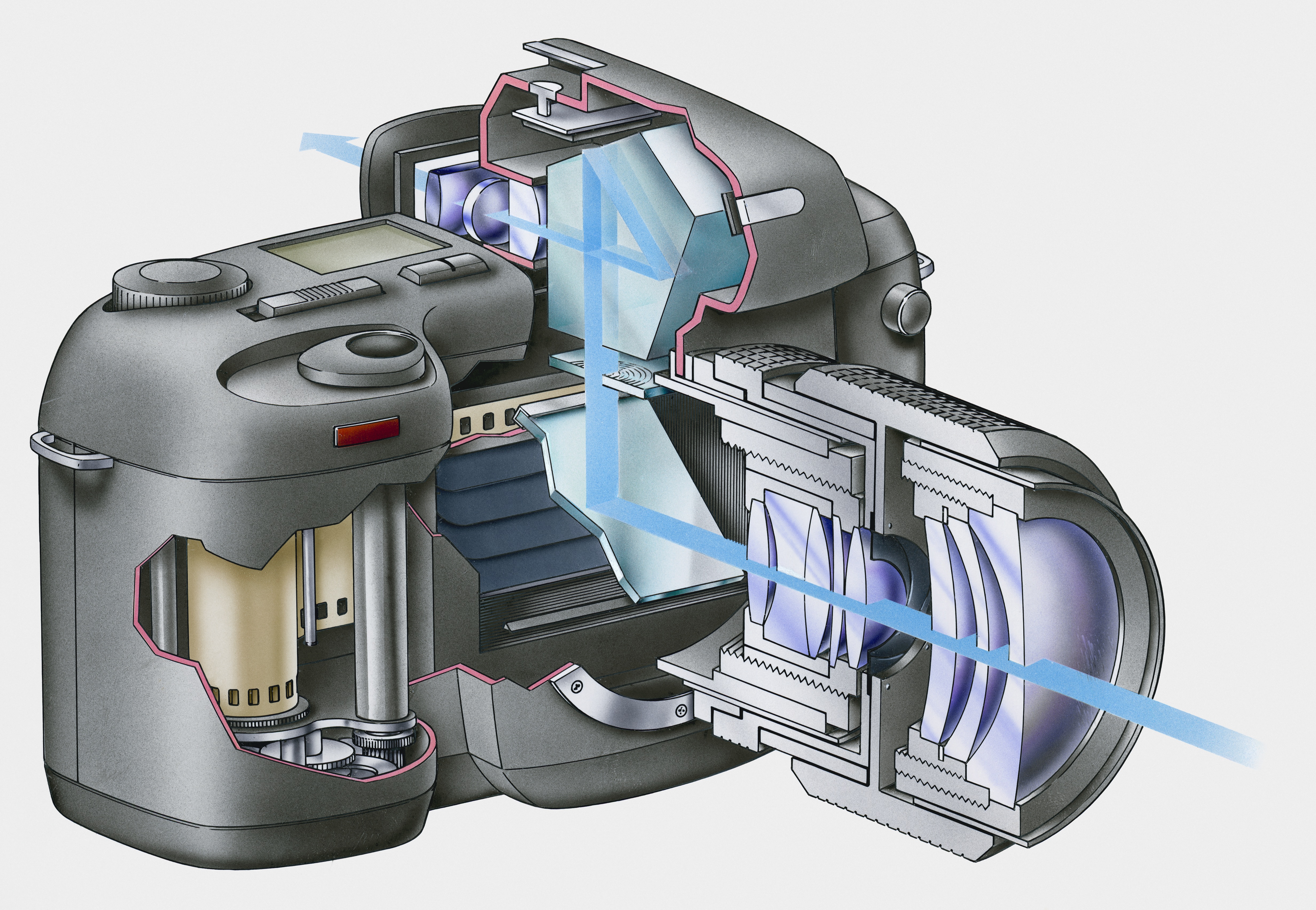 Cross section Illustration of SLR camera with film inside