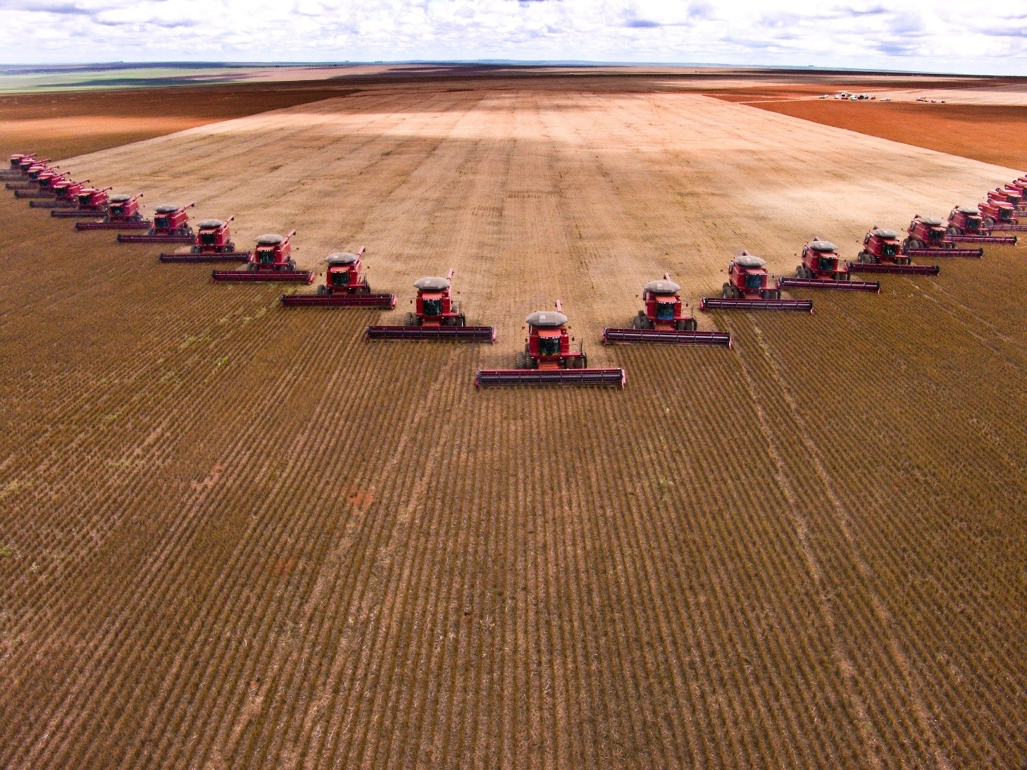 13-agriculture