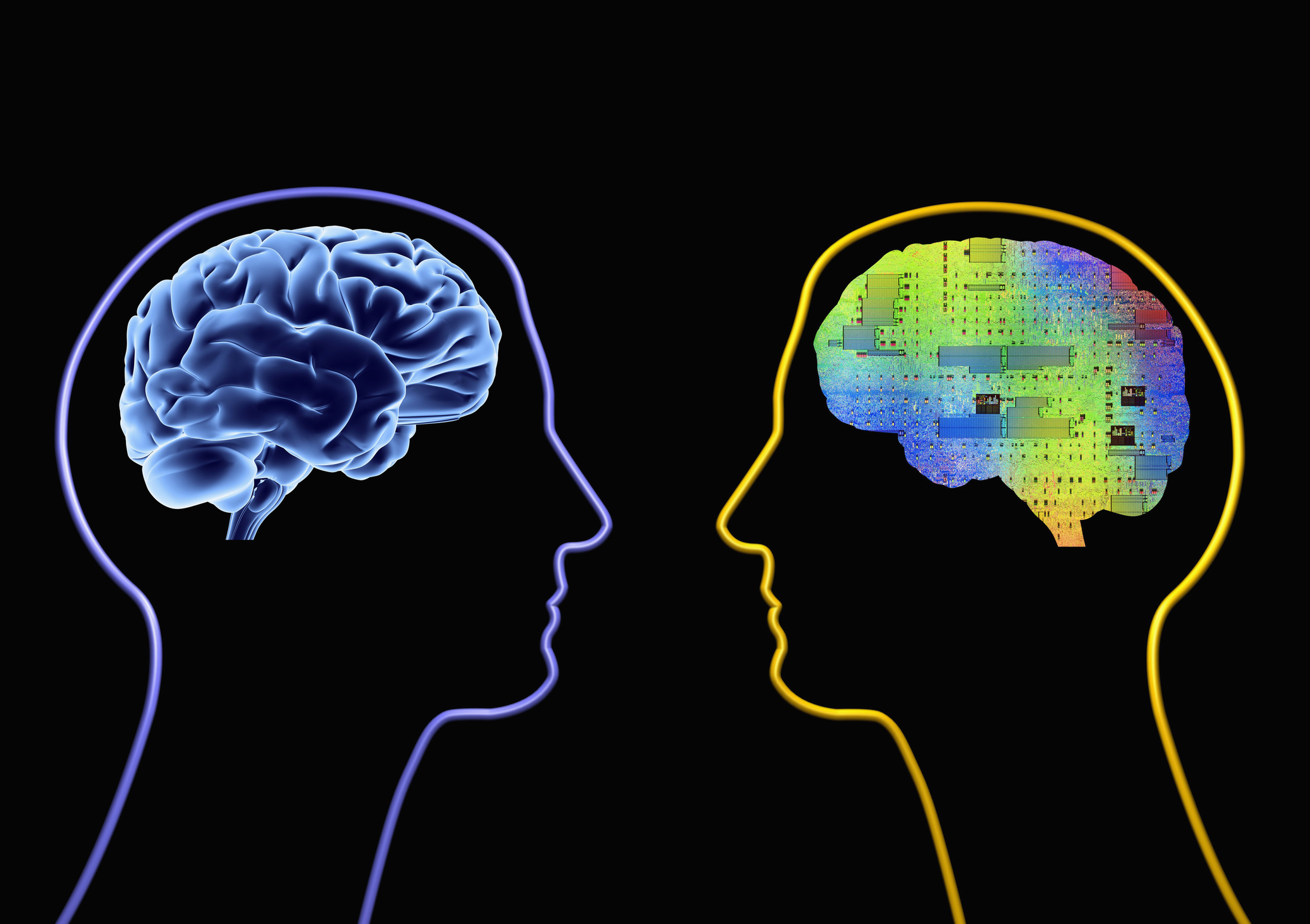 Artificial intelligence and cybernetics
