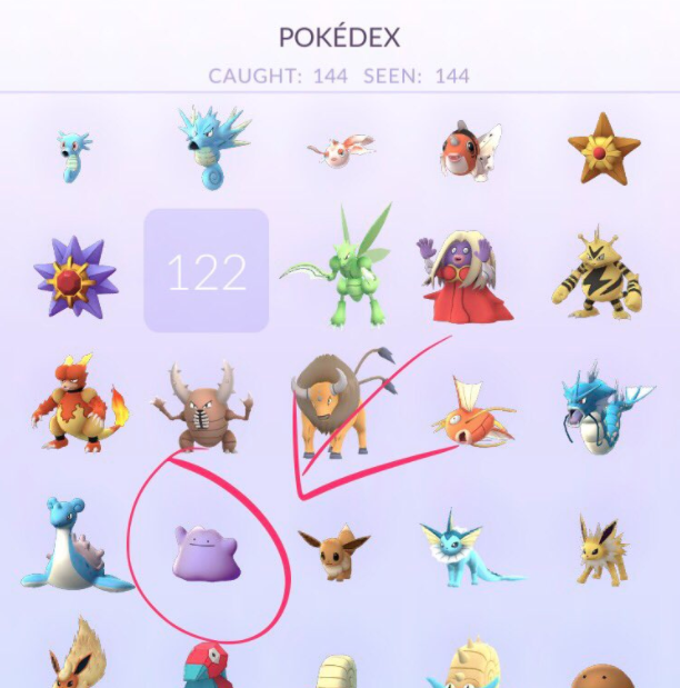 grg-ditto