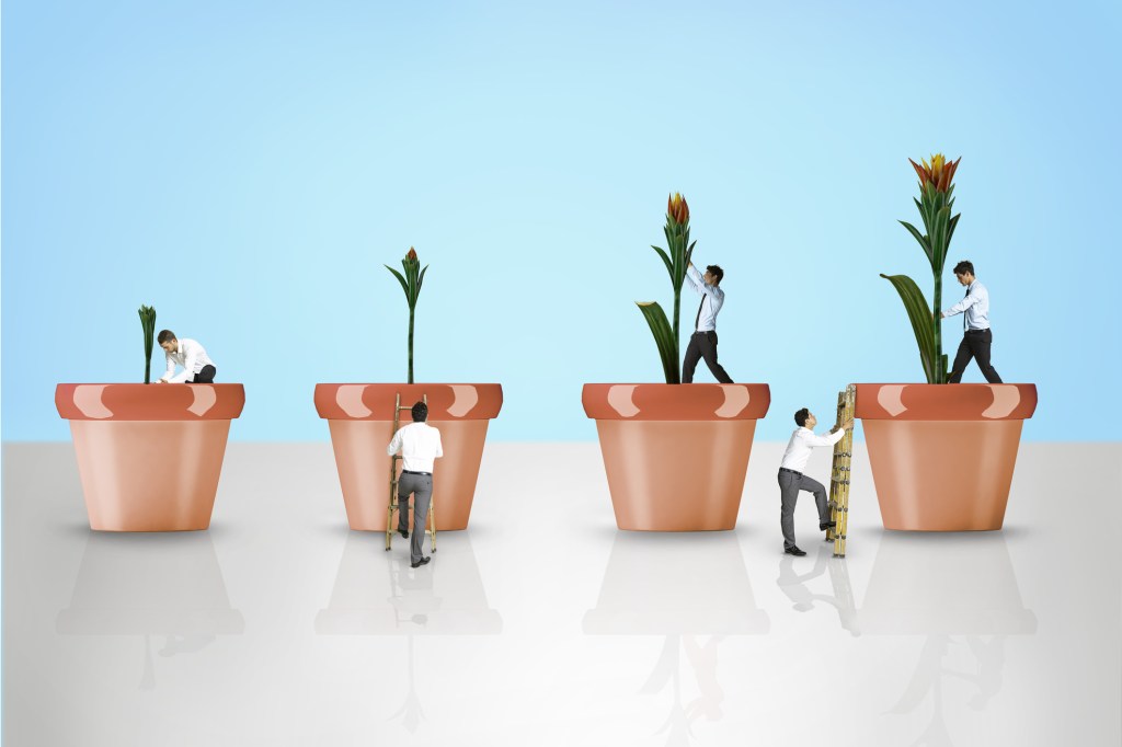 illustration of tiny office men growing flowers in pots