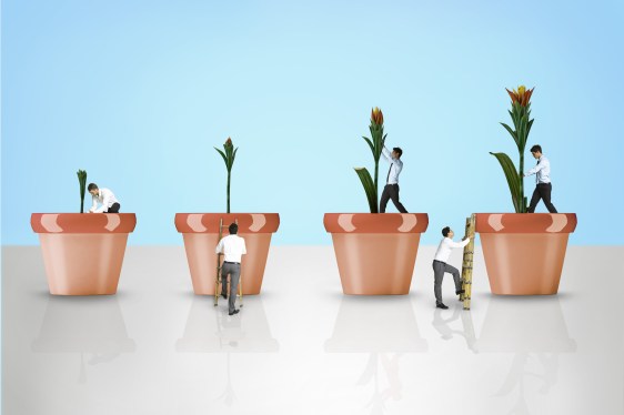 illustration of tiny office men growing flowers in pots