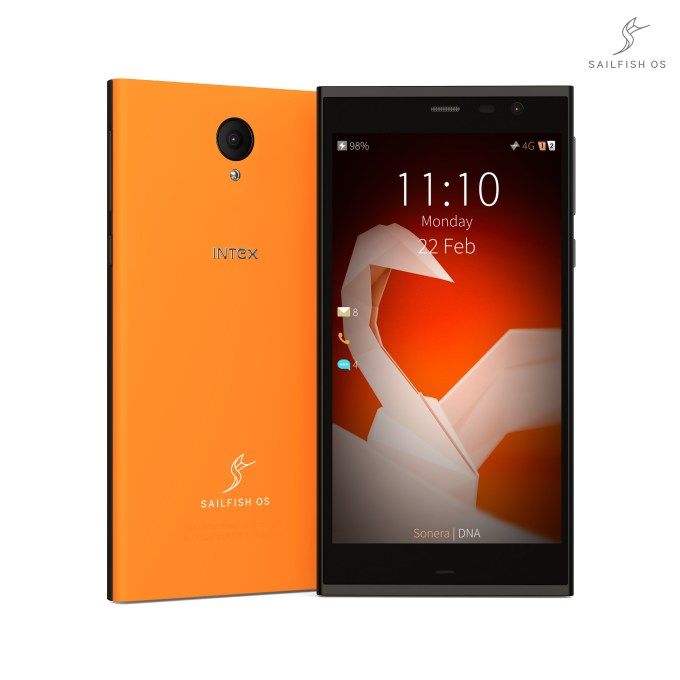 intex_aqua_fish_01
