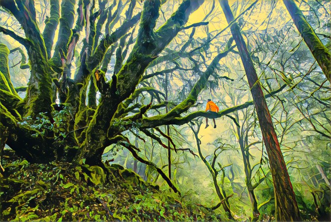 Prisma larger aspect ratio