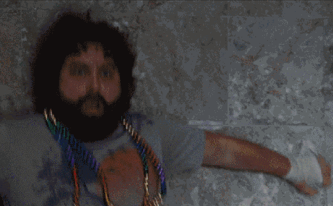the hangover tiger