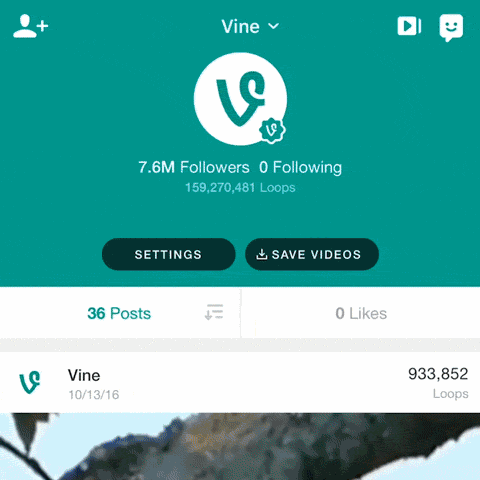 vine-export