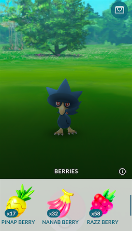 berries