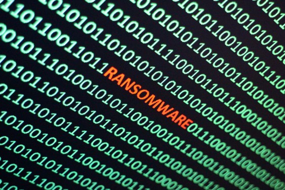 Binary field with Ransomware in the middle of it.