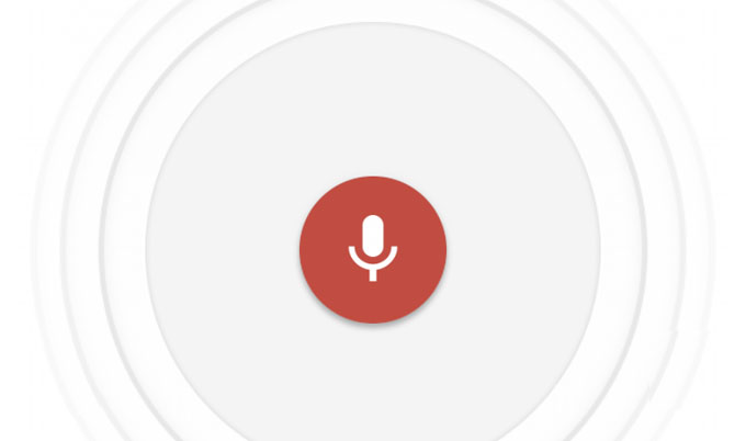 voice