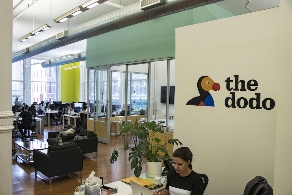 Dodo office