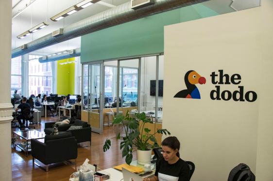 Dodo office