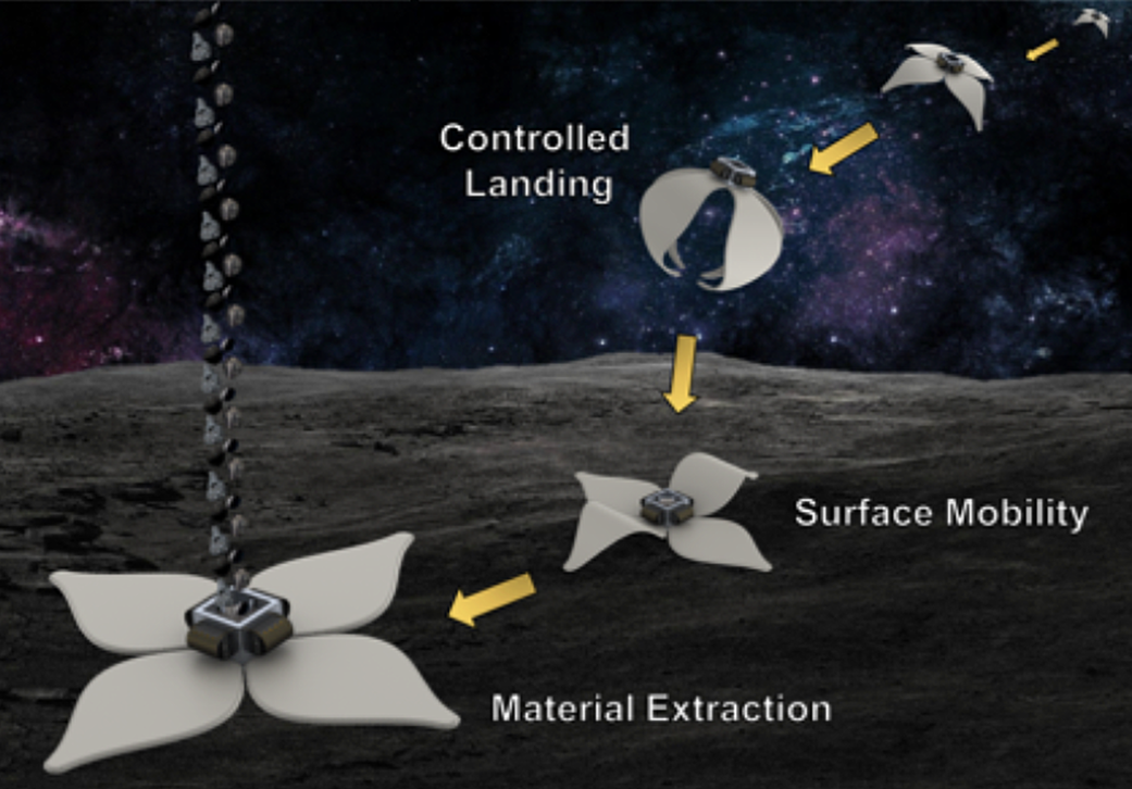 Asteroid-eating softbots 