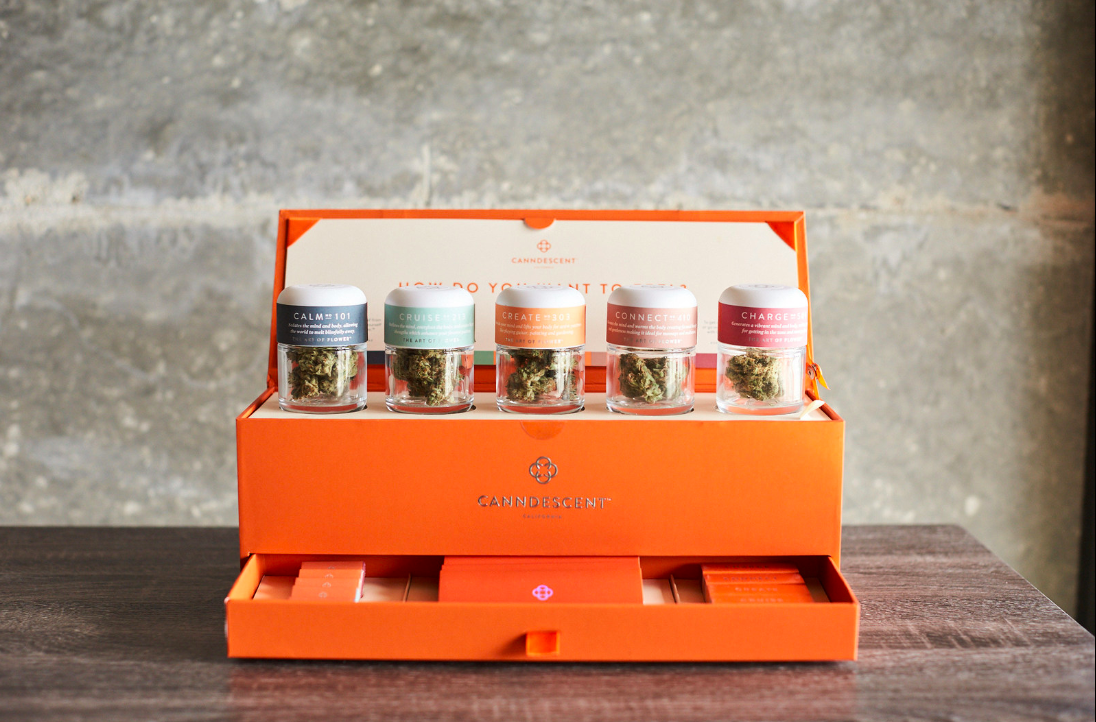 Canndescent's bespoke buds raked in $16 million so far 