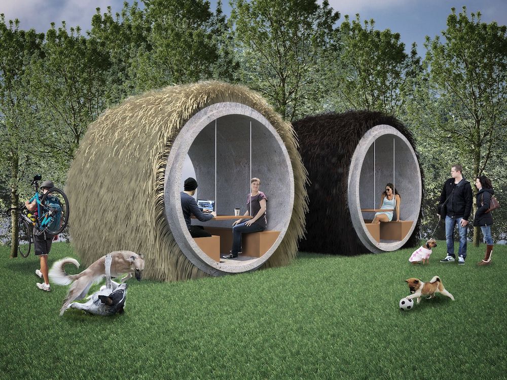 BarkPark
