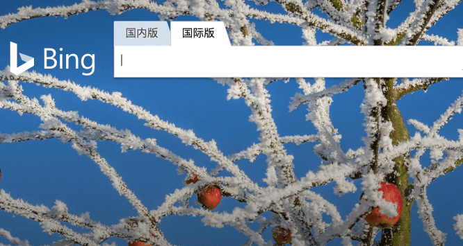 bing china