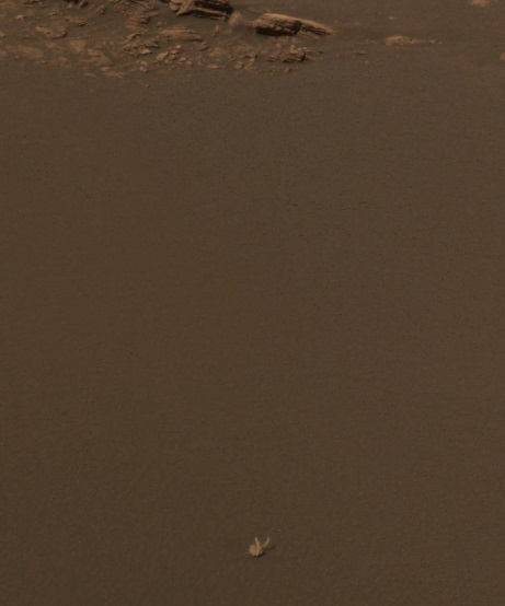 Life on Mars? Wait a second... 