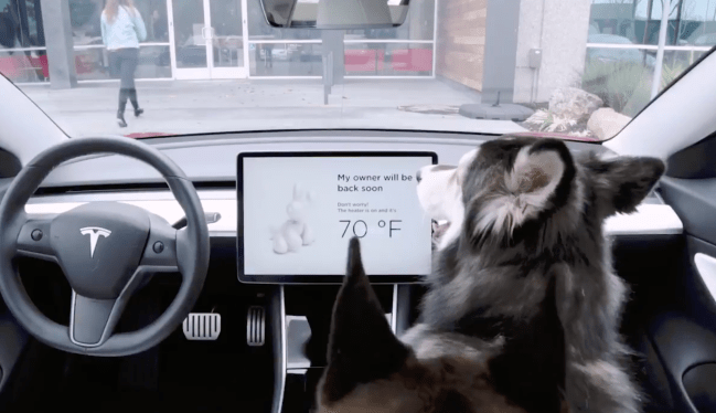 Tesla dog mode